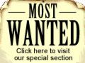 Most Wanted